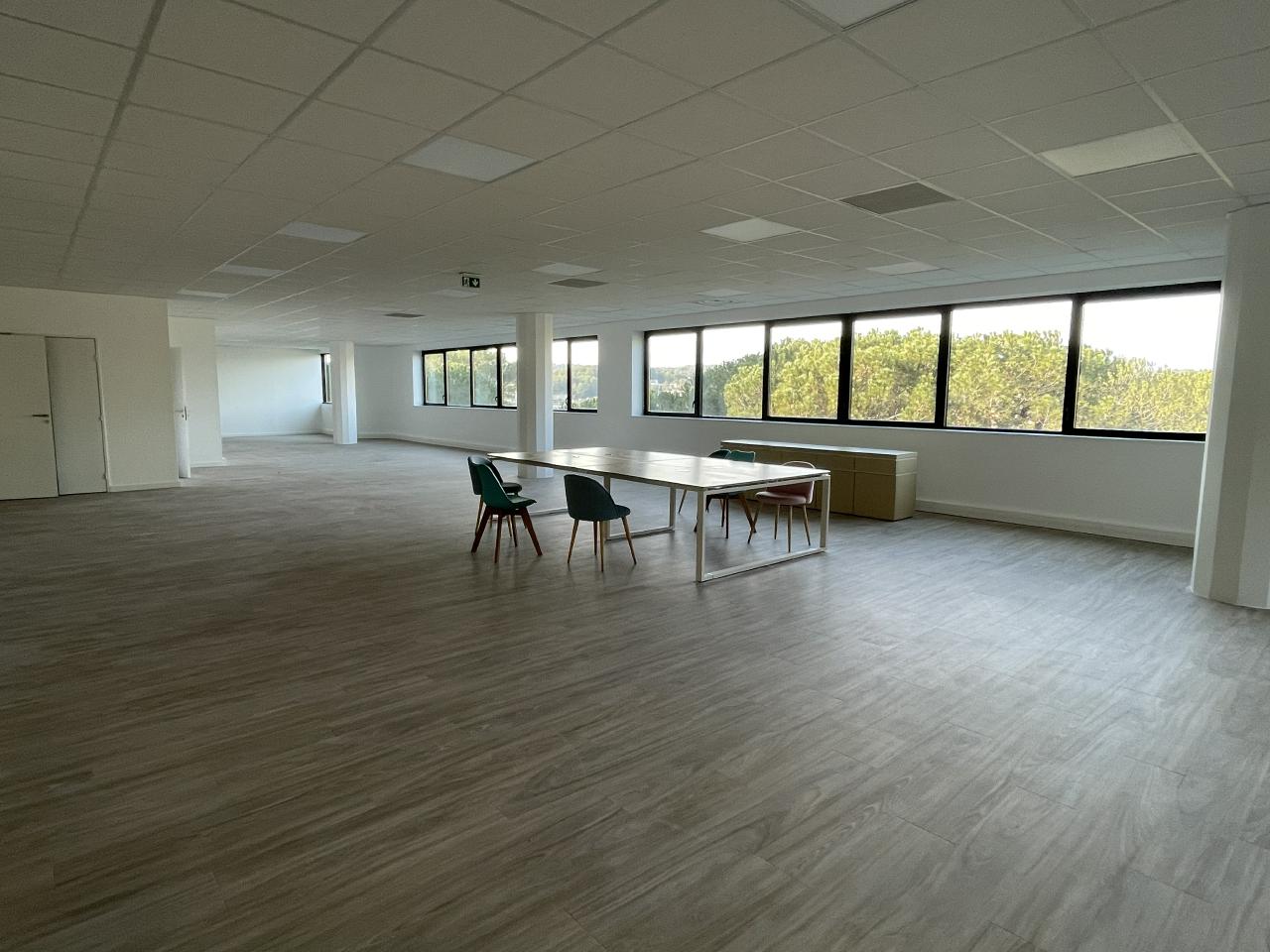 Bureau Sophia Antipolis 1027m² Location bureau Sophia Antipolis Alpes-Maritimes OLBUR2115416 5